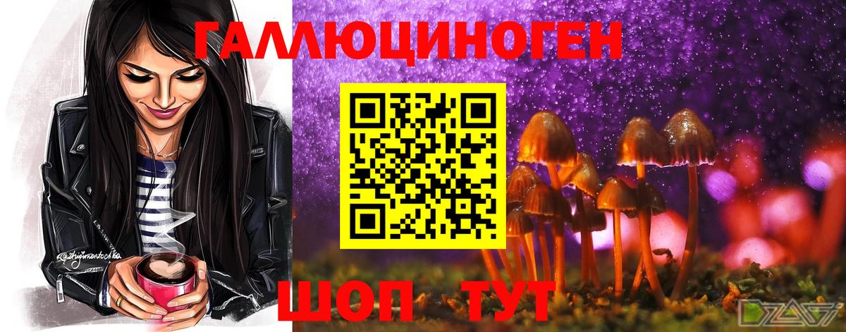 Корсаков  Галлюциногенные грибы Magic Shrooms  Вход с VPN 