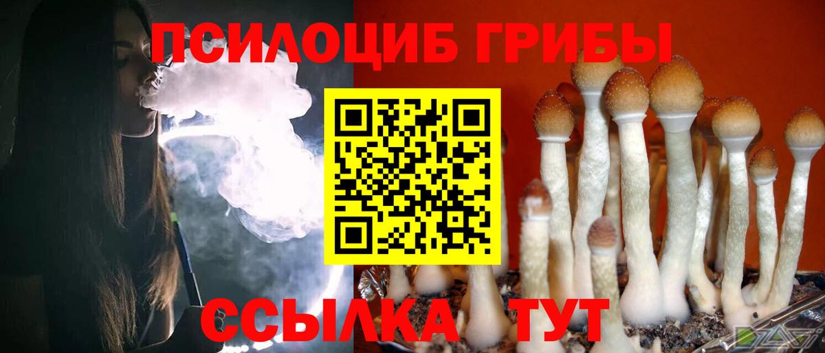 Галлюциногенные грибы Magic Shrooms Корсаков